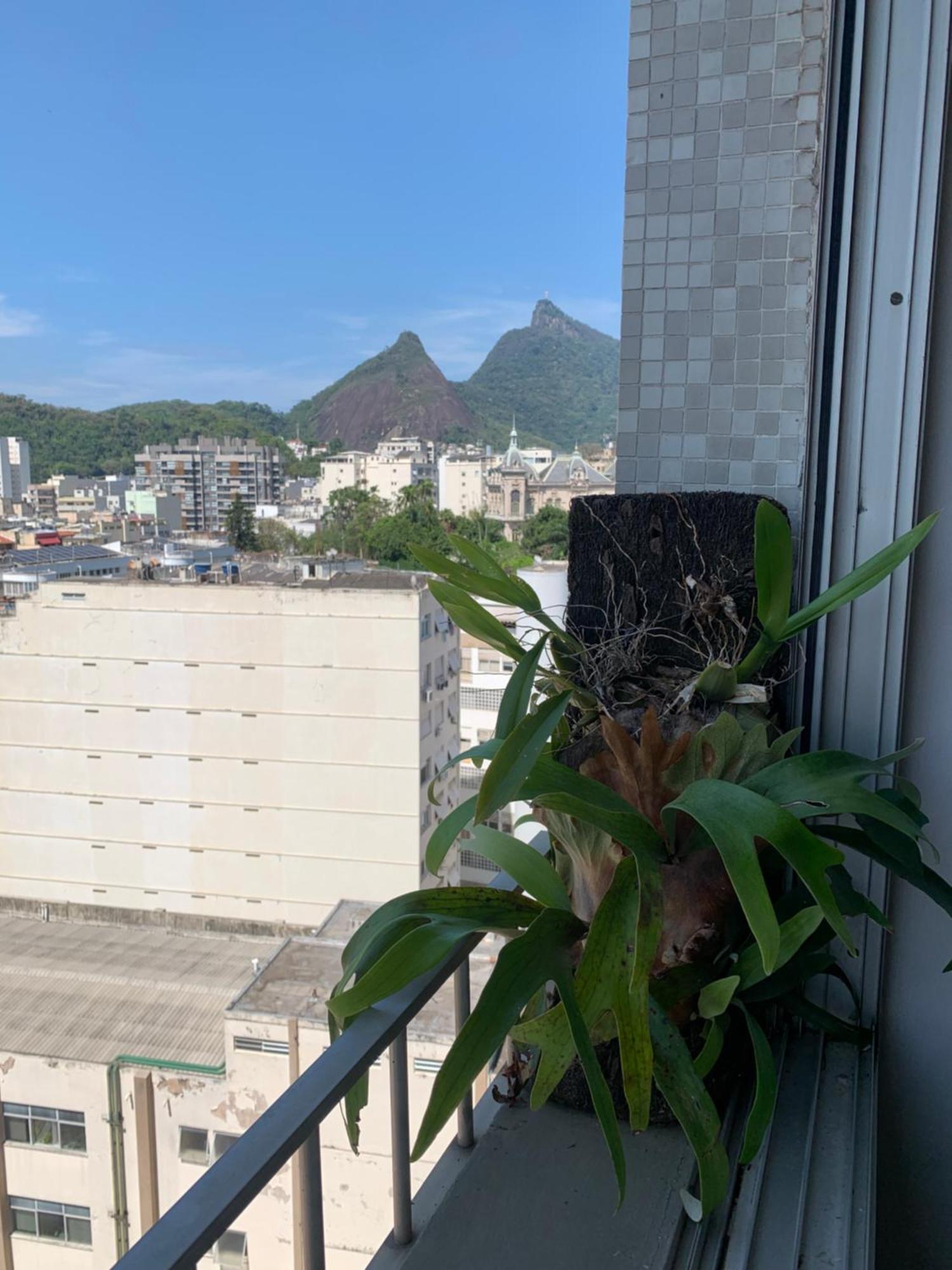 Apartamento 01 Aconchegante So 02 Pessoas Em Area Nobre